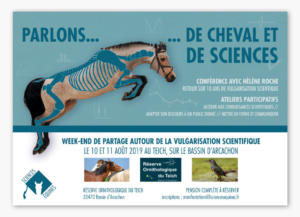 Association pour le Développement des Sciences Equines