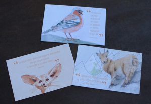cartes de voeux