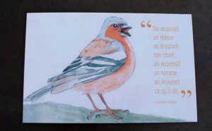 oiseau